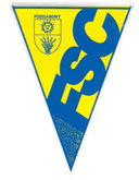 ফুজেসাবোনি এসসি