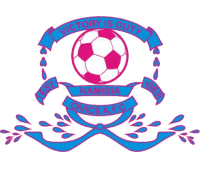 سيفكس الناميبي