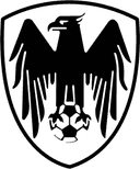 শাহিন তেহরান