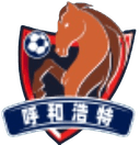 হোহোট দল