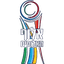 Piala Toto Israel