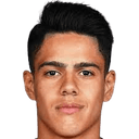 Tiago Miguel Hora Ribeiro