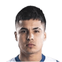 Ricardo Cesar Lagos Puyen