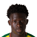 Vladimir Henrique Silva