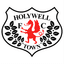 Holywell Town