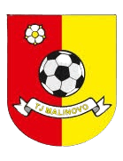 TJ Malinovo