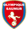 Saumur OL