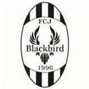 FC Jyvaskyla Blackbird