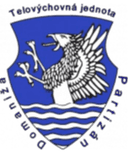 TJ Partizan Domaniza
