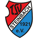TSV Steinbach II