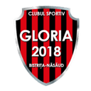 CS Gloria 2018 Bistrita Nasaud