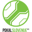 Piala Slovenia