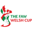 كأس ويلز