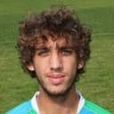 वित्तोरियो फाब्रिस