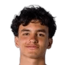 Emiliano Villaseñor