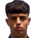 Miguel Ferrer Alarte