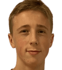 ويلمر هاجيمان