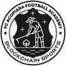 Blockchain Sports Academy