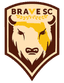 Brave SC