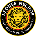 Leones Negros 2
