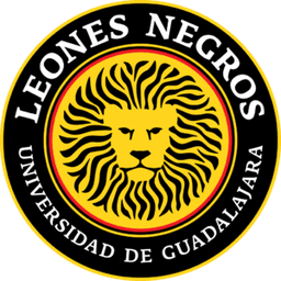 Leones Negros 2