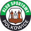 Gornik Polkowice