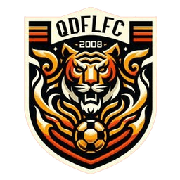 किंगदाओ फुली