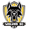 वोल्व्स स्पोर्ट्स क्लब