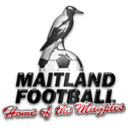 ميتلاند الاحتياطي