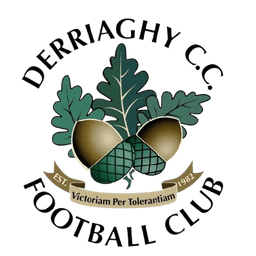 Derriaghy FC