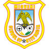 CS Mioveni