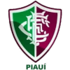 Fluminense PI (Pemuda)