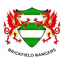 Brickfield Rangers