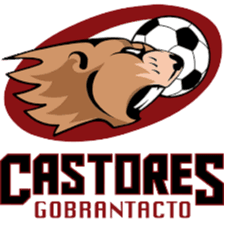 Castores Gobrantacto