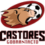 Castores Gobrantacto
