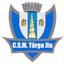 CSM Targu Jiu