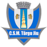 CSM Targu Jiu