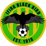 Ifira Black Bird