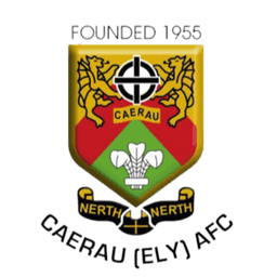 Caerau Ely