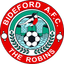Bideford AFC