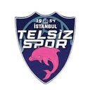 Telsizspor (W)