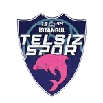 Telsizspor (W)