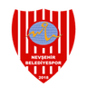 Nevsehirspor