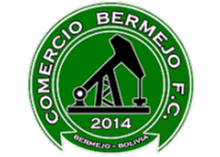Comercio Bermejo