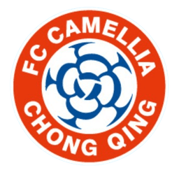 चोंगकिंग डिकाई