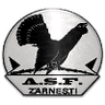 ACS Olimpic Zarnesti