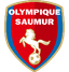 Saumur OL