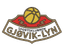 Gjovik Lyn