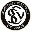 SV Elversberg II
