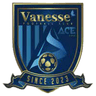 Sejong Vanesse FC